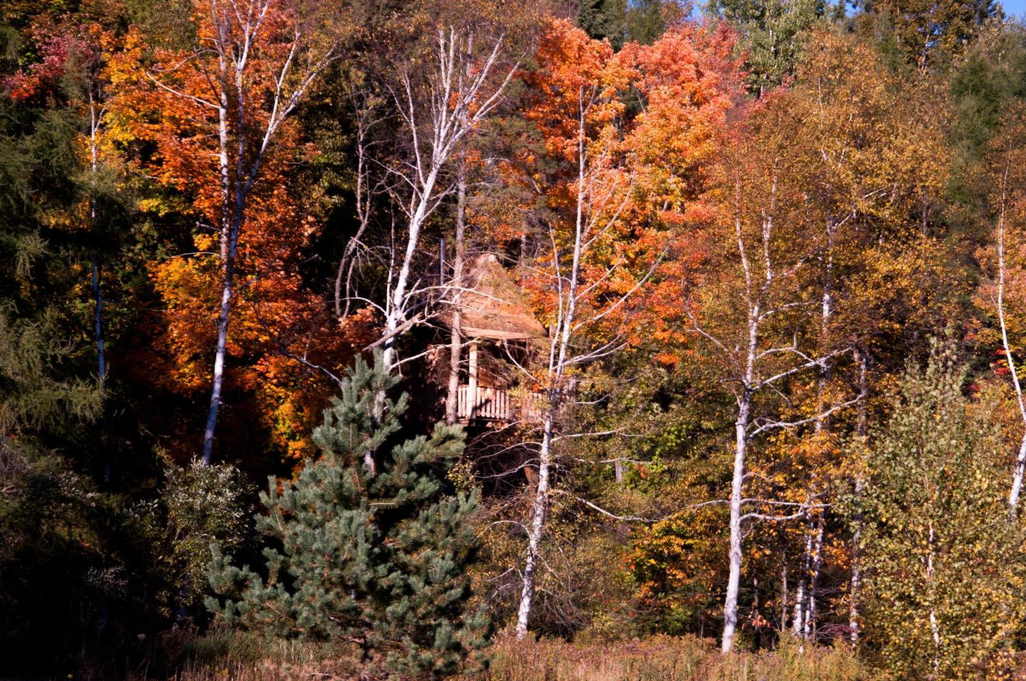 Les Cabanes Du Trappeur Wentworth-Nord Exteriör bild