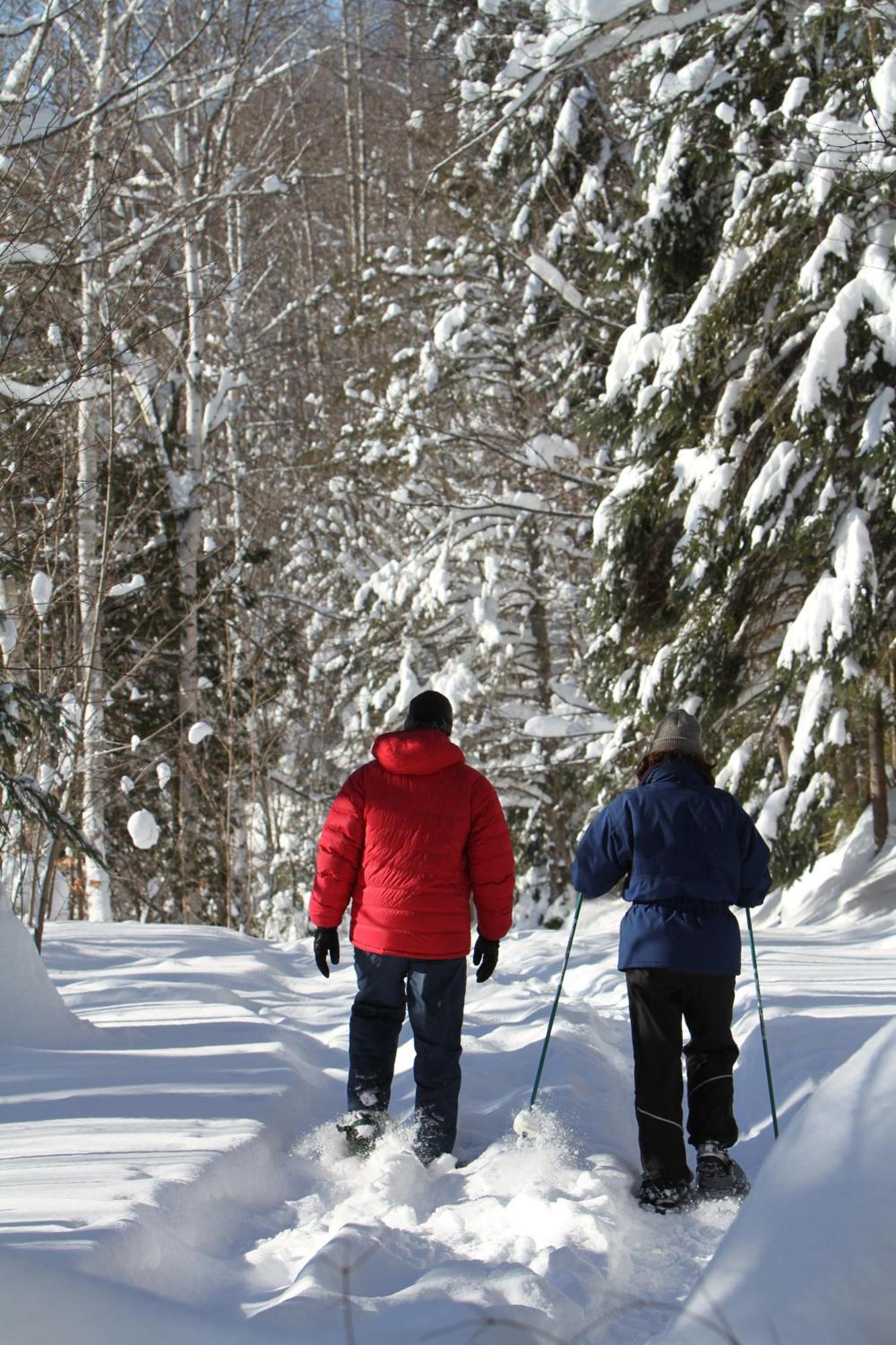 Les Cabanes Du Trappeur Wentworth-Nord Exteriör bild
