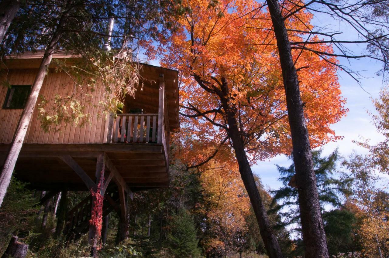 Les Cabanes Du Trappeur Wentworth-Nord Exteriör bild