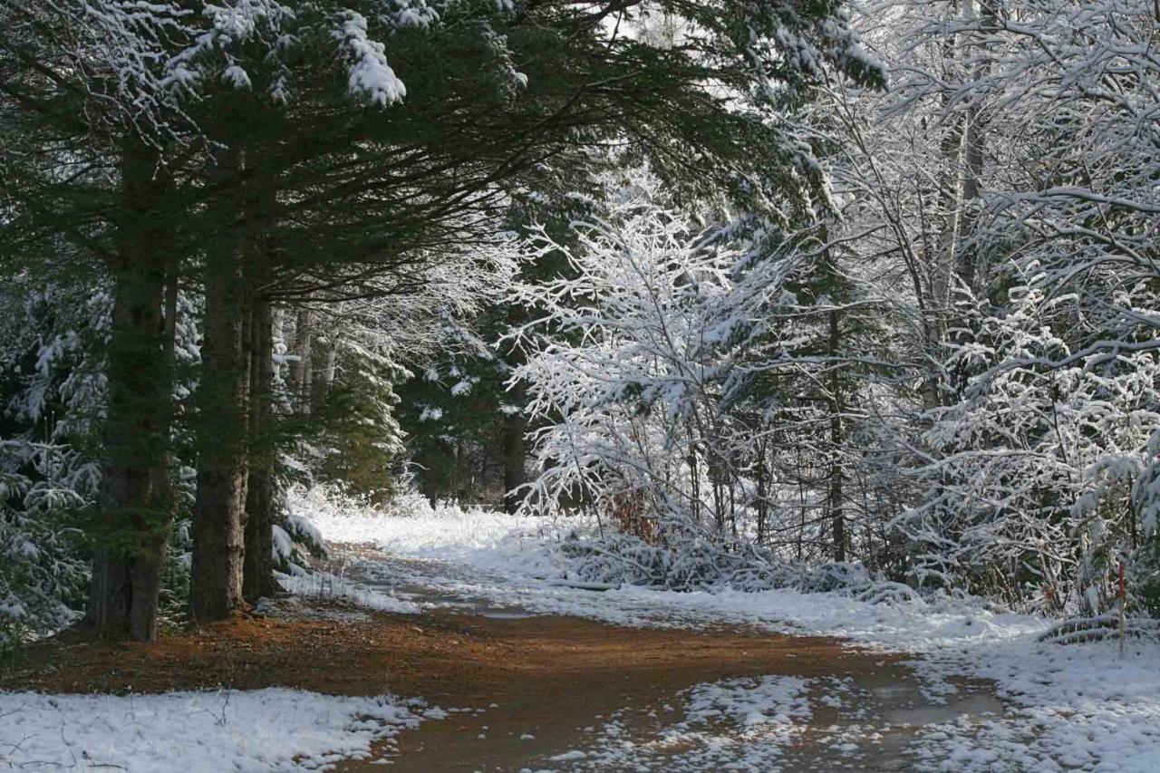 Les Cabanes Du Trappeur Wentworth-Nord Exteriör bild